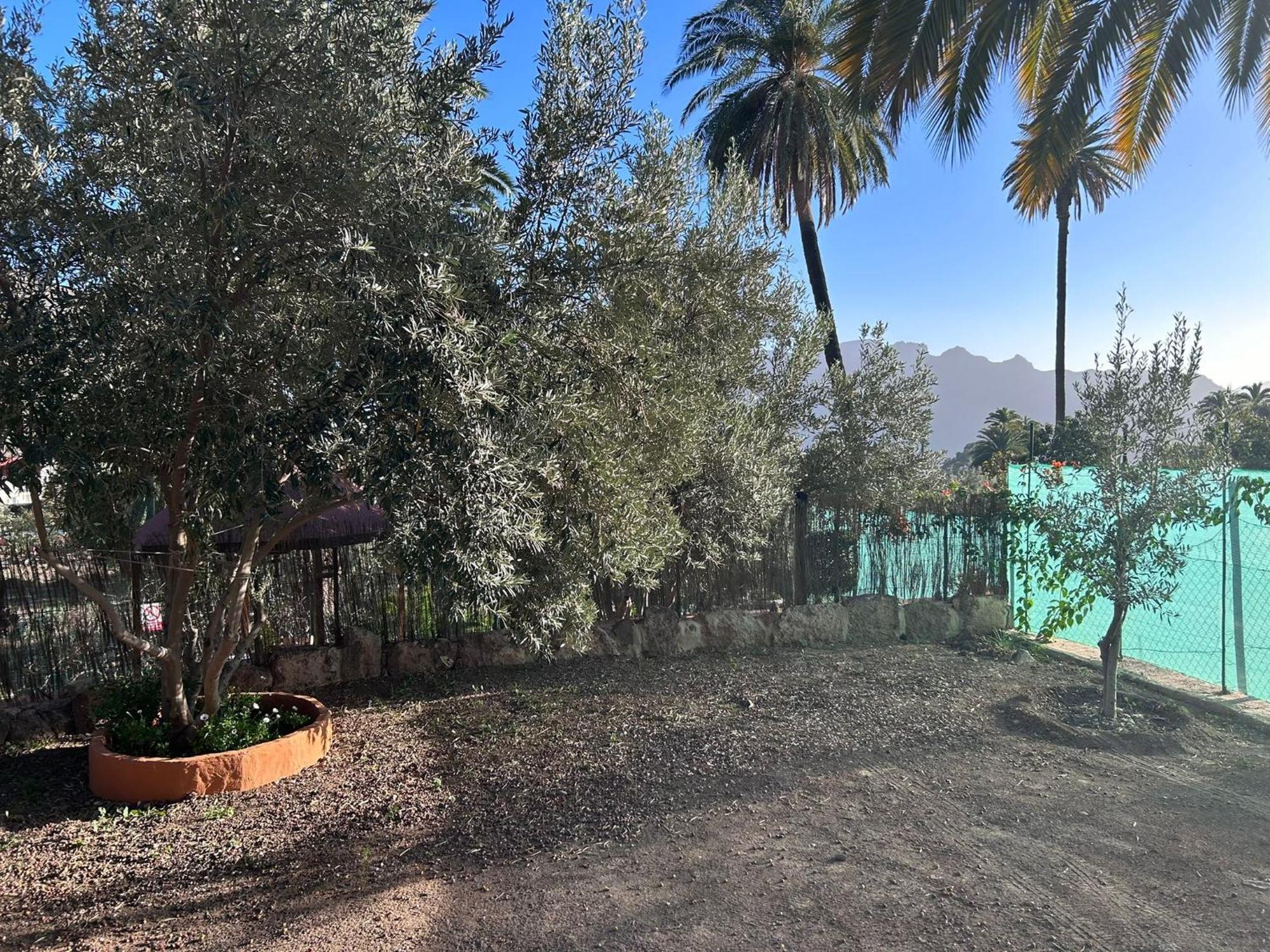 La Casa De Tea Villa Santa Lucia De Tirajana Bagian luar foto